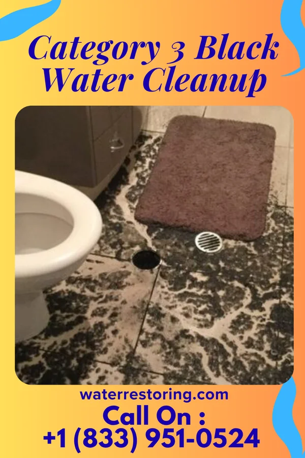 Category 3 Black Water Cleanup in Crete, NE